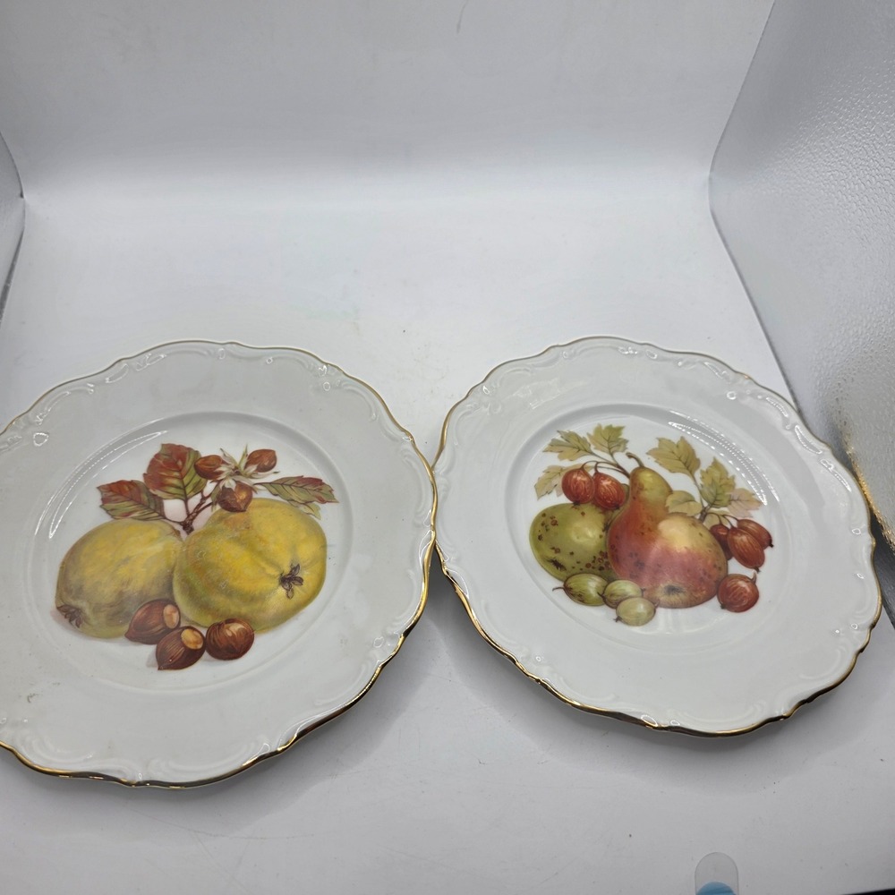 Vintage Winterling Roslau Bavaria Fruit Plates Pair Gold Trim Western Germany